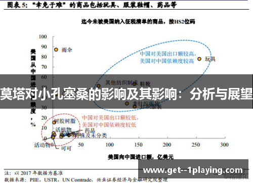 莫塔对小孔塞桑的影响及其影响:分析与展望 莫塔对小孔塞桑的影响及其影响:分析与展望