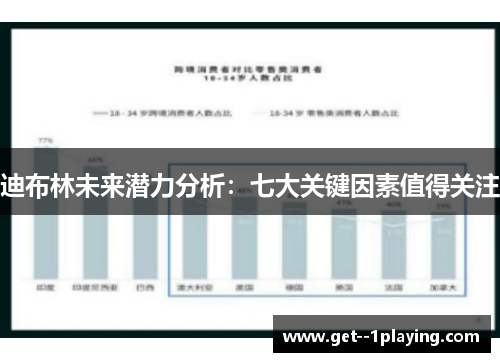 迪布林未来潜力分析：七大关键因素值得关注